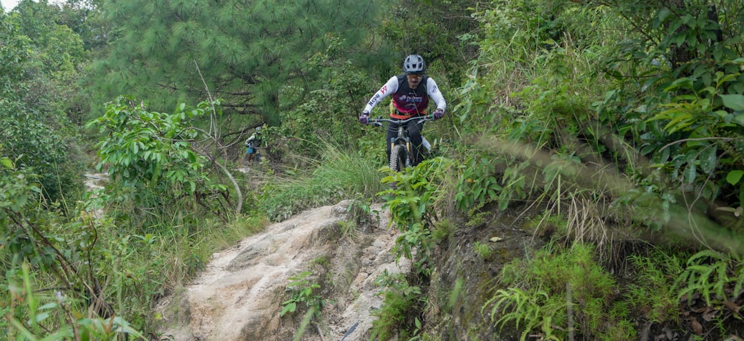 Mountain biker riding trail