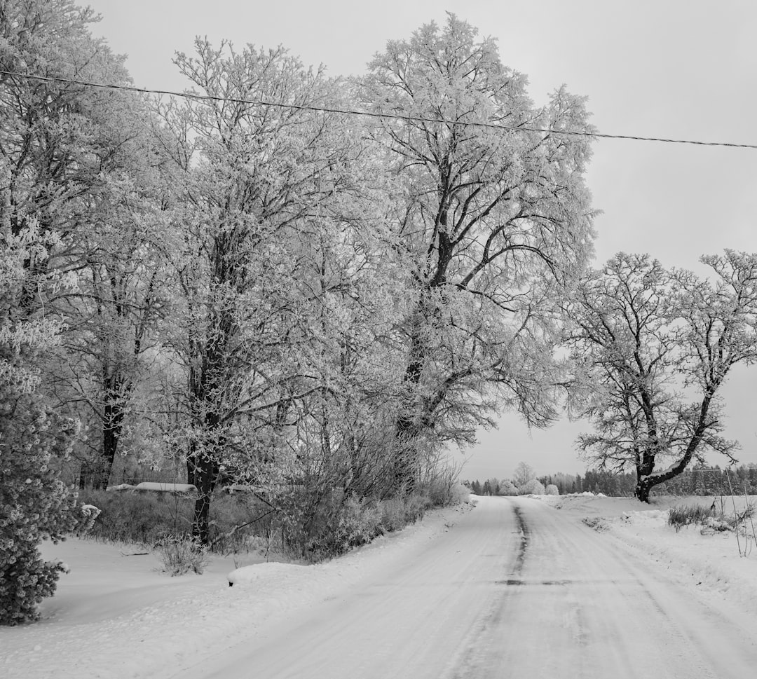 Winter training preparation